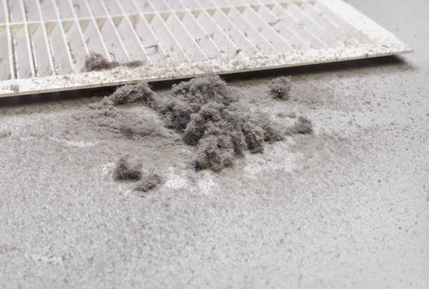 Best Air Duct Cleaning Near Me  in Royse City, TX